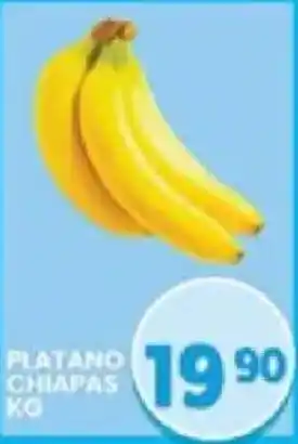 Platano chiapas