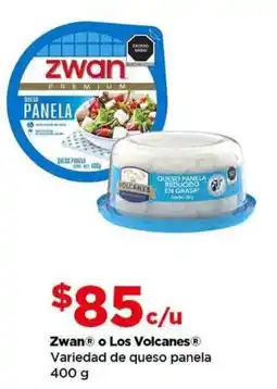 Bodega Aurrerá Zwan o Los Volcanes Queso Panela oferta
