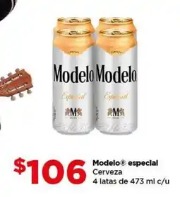 Bodega Aurrerá Modelo especial oferta