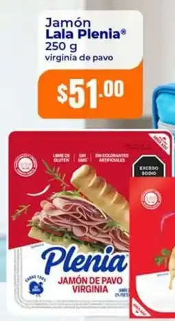 Tiendas Neto Jamón Plenia oferta