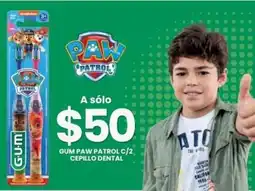 Farmapronto Gum Paw Patrol oferta