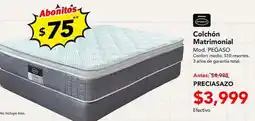 El Bodegón Amexa Colchón Matrimonial oferta