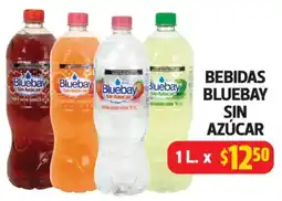 Farmacias Guadalajara Bebidas Bluebay Sin Azúcar oferta
