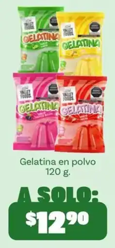 Soriana Mercado Valley Foods Gelatina oferta