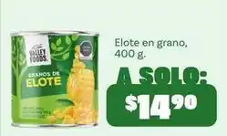 Valley foods - elote en grano