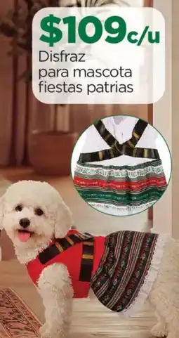 Chedraui Disfraz para mascota fiesta patrias oferta