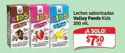 Soriana Mercado Valley Foods Kids oferta