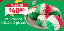 Soriana Mercado Pan concha tricolor oferta