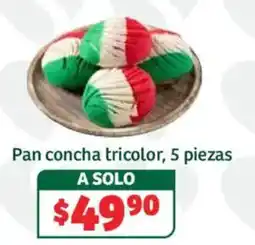 Soriana Híper Pan concha tricolor oferta