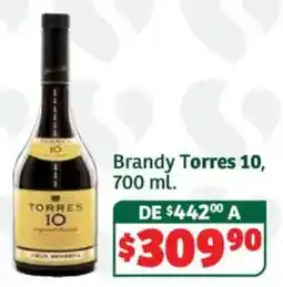 Soriana Híper Brandy Torres 10 oferta