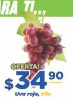 Super Gutiérrez Uva roja oferta