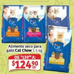 Soriana Mercado Cat Chow oferta