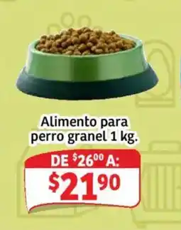Soriana Mercado Alimento para perro granel oferta