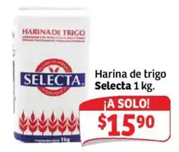 Soriana Mercado Selecta harina de trigo oferta