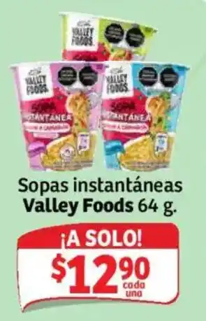 Soriana Mercado Valley Foods Sopas instantáneas oferta