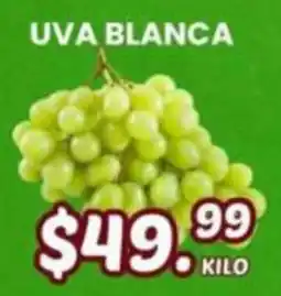 Guajardo uva blanca oferta