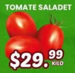 Guajardo tomate saladet oferta