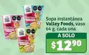 Soriana Híper Valley foods - sopa instantánea, vaso oferta