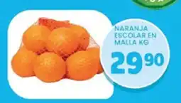 Alsuper Naranja Escolar En Malla oferta