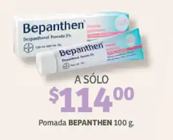 Soriana Híper Pomada BEPANTHEN 100g oferta