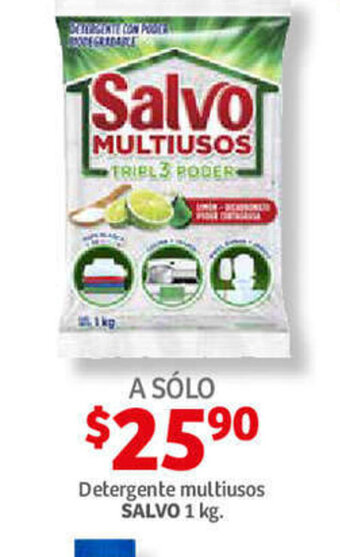 Detergente multiusos SALVO 1kg