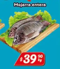 El Florido Mojarra entera oferta