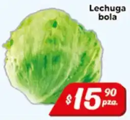 El Florido Lechuga bola oferta