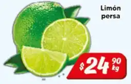 El Florido Limón persa oferta