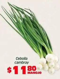 Soriana Híper Cebolla cambray oferta