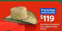 Walmart Sombrero de palma tipo vaquero para adulto oferta
