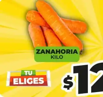 Zanahoria