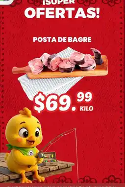 Guajardo Posta de Bagre oferta