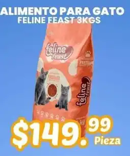 Guajardo feline feast oferta