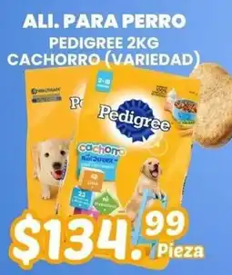 Guajardo Pedigree cachorro (variedad) oferta