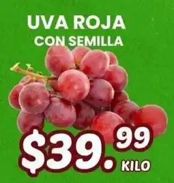 Guajardo uva roja con semilla oferta