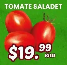 Guajardo Tomate Saladet oferta