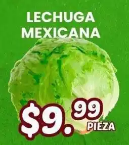 Guajardo Lechuga Mexicana oferta