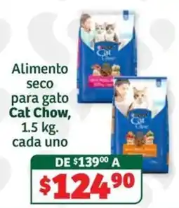 Soriana Súper Cat Chow oferta
