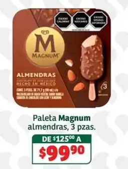 Soriana Súper Magnum almandras oferta