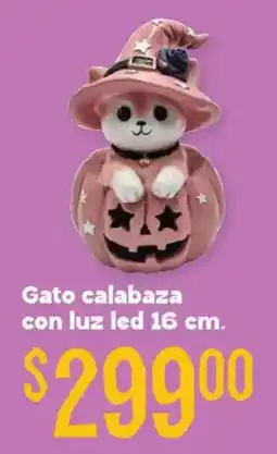 Soriana Híper Gato calabaza oferta