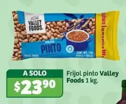 Soriana Súper Frijol pinto Valley Foods oferta