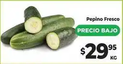 HEB Pepino fresco oferta
