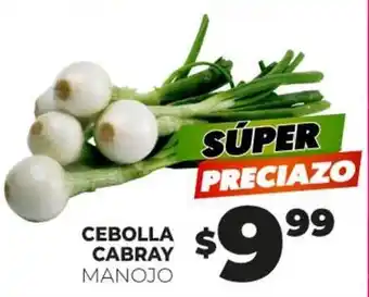 Cebolla cabray manojo