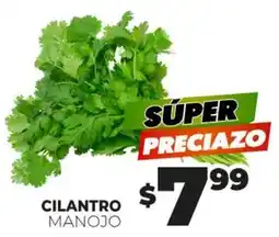 Merco Cilantro manojo oferta