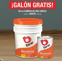 The Home Depot Berel Berelinte oferta