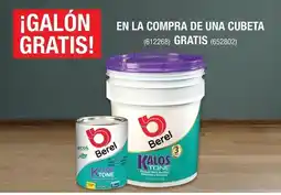 The Home Depot Berel Kalos Tone oferta