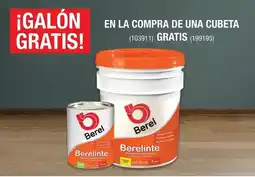 The Home Depot Berel Berelinte oferta