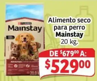 Mainstay Alimento seco para perro