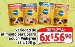 Soriana Mercado Pedigree variedad de alimento para perro pouch oferta