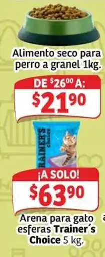 Soriana Mercado Trainer's Choice arena para gato esferas oferta